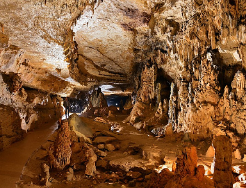 Visite des grottes d’Arcy sur Cure