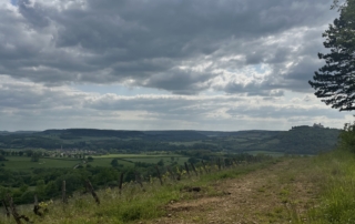 découverte vignes Vézelay