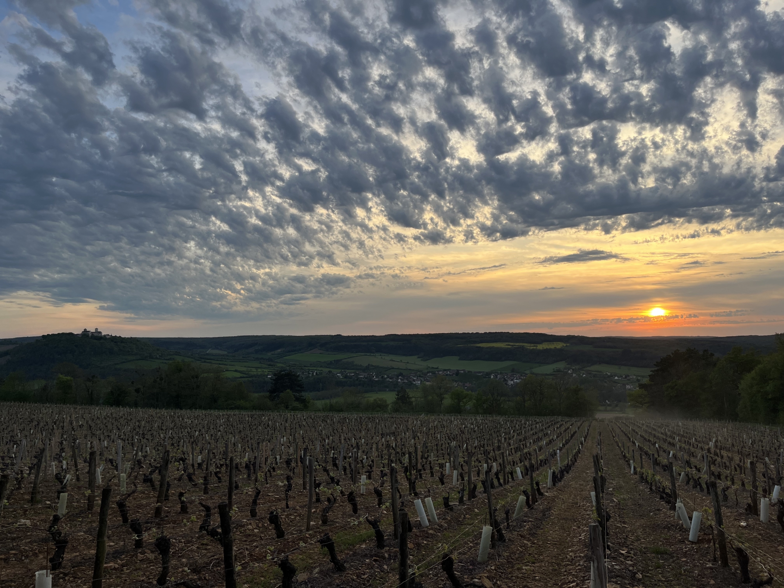 Séminaire vin